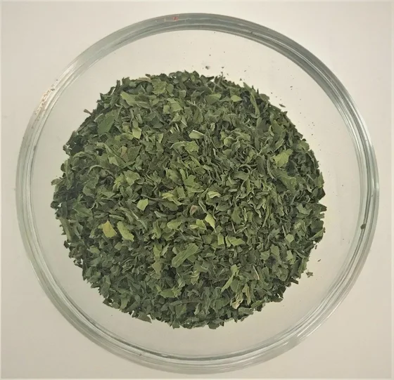 Menta essiccata — Foto del prodotto